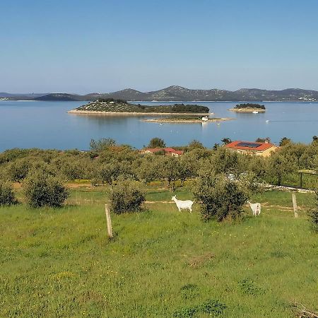 Studio Punta Pakoštane Dış mekan fotoğraf